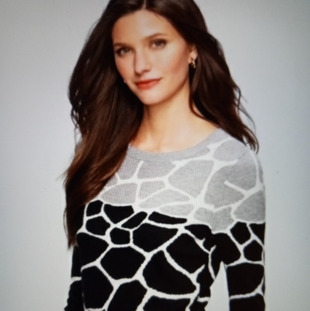 Talbots Animal Giraffe Print L/S Sweater Size 2x